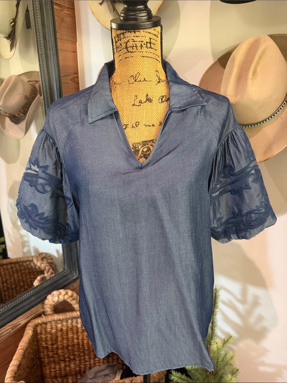 Chambray Blue V-Neck Blouse with Embroidered Puff Sleeves NW/OT